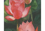 hand drawn artistic watercolor and acrylic art
